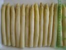 Whole White Asparagus Spears